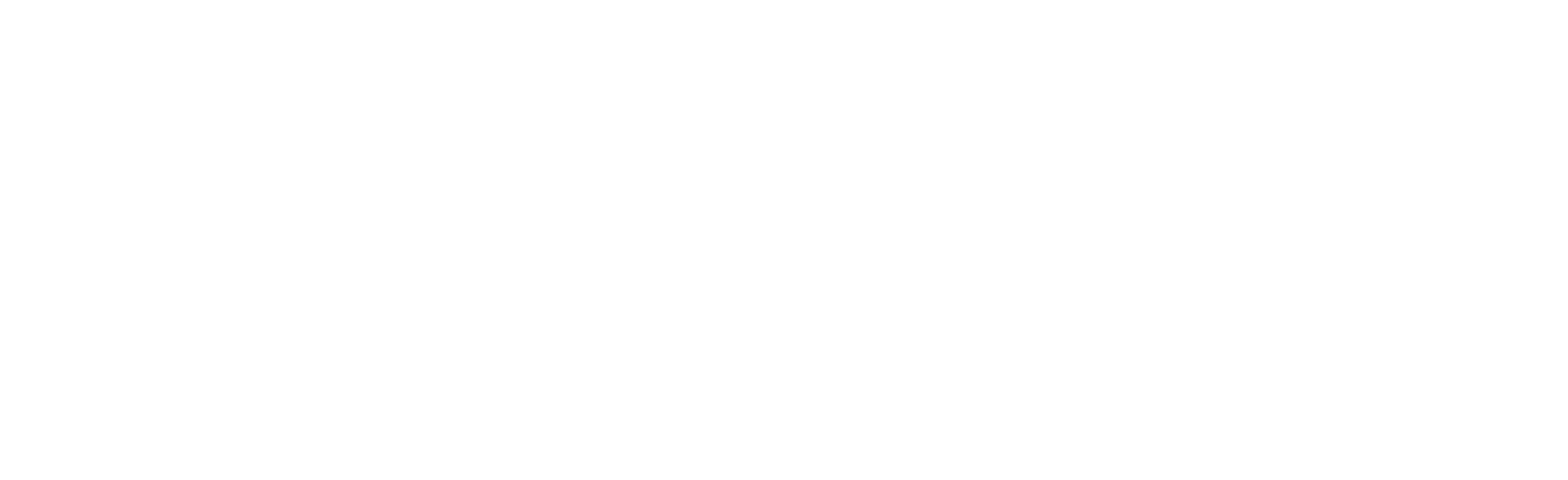 logo-white